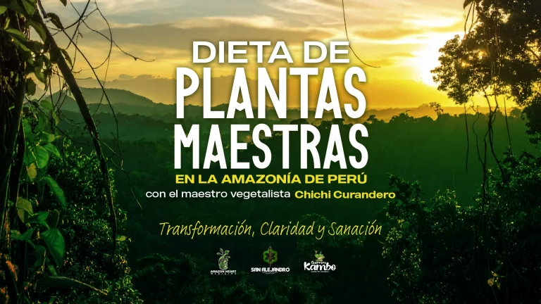 Dieta de plantas maestras en casa medicina San Alejandro